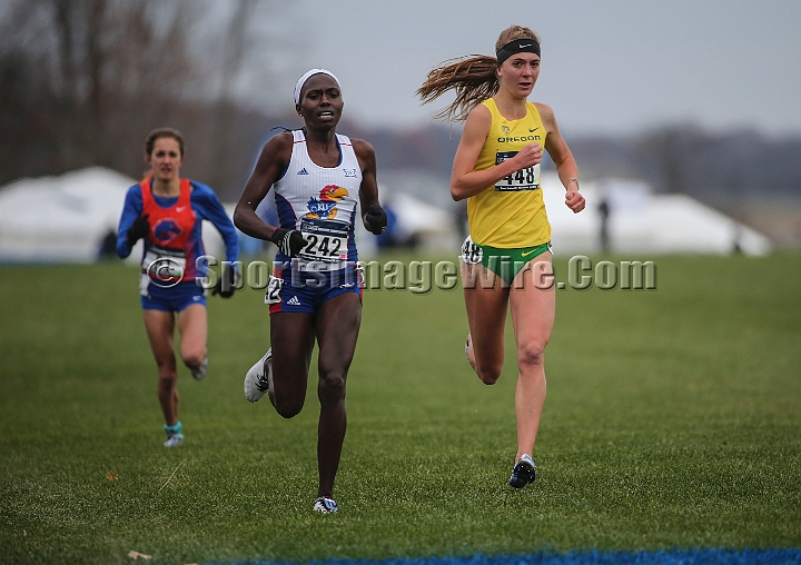 2016NCAAXC-116.JPG - Nov 18, 2016; Terre Haute, IN, USA;  at the LaVern Gibson Championship Cross Country Course for the 2016 NCAA cross country championships.